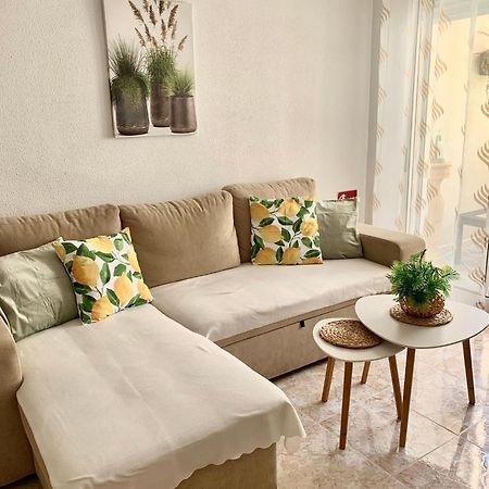 Sunny Green Apartment Τορεβιέχα Εξωτερικό φωτογραφία